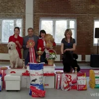 Тольяттинский городской клуб собаководства Содружество Фото 2 на проекте VetSpravka.ru Тольяттинский городской клуб собаководства Содружество Фото 2 на проекте VetSpravka.ru